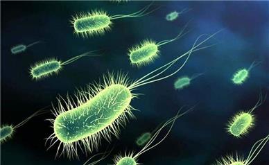 هشدار درباره شیوع وبا در کشور/ شناسایی ۶۲  مورد قطعی
