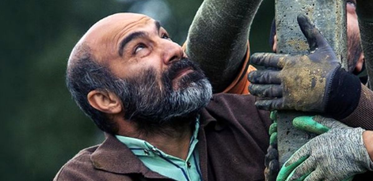 ۵ فیلمی که بخت بیشتری برای معرفی به اسکار ۲۰۲۳ دارند